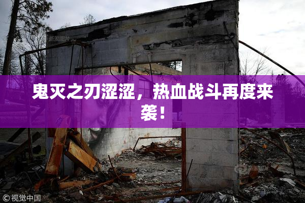 鬼灭之刃涩涩，热血战斗再度来袭！