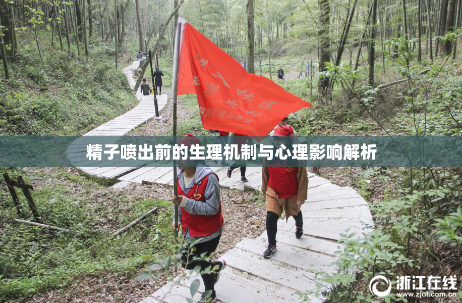 精子喷出前的生理机制与心理影响解析
