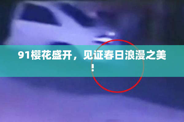 91樱花盛开，见证春日浪漫之美!