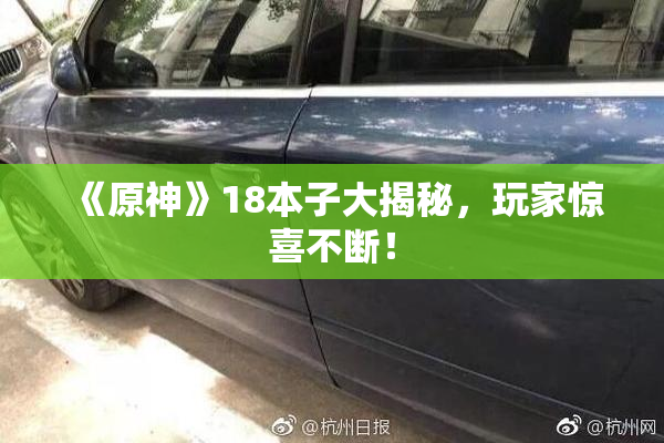 《原神》18本子大揭秘，玩家惊喜不断！