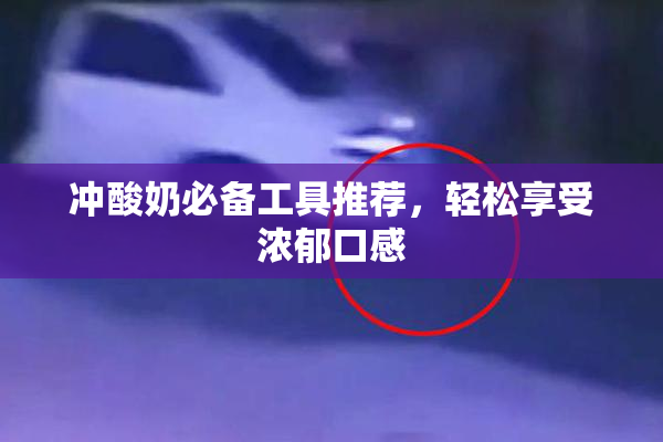 冲酸奶必备工具推荐，轻松享受浓郁口感