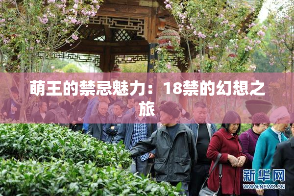 萌王的禁忌魅力：18禁的幻想之旅
