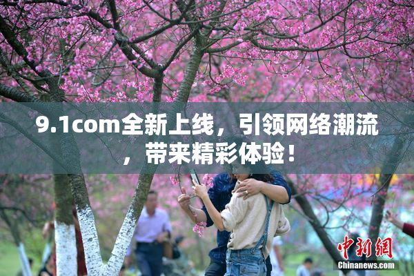 9.1com全新上线，引领网络潮流，带来精彩体验！
