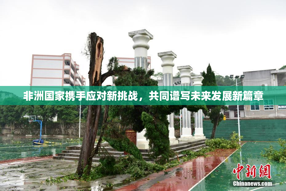 非洲国家携手应对新挑战，共同谱写未来发展新篇章