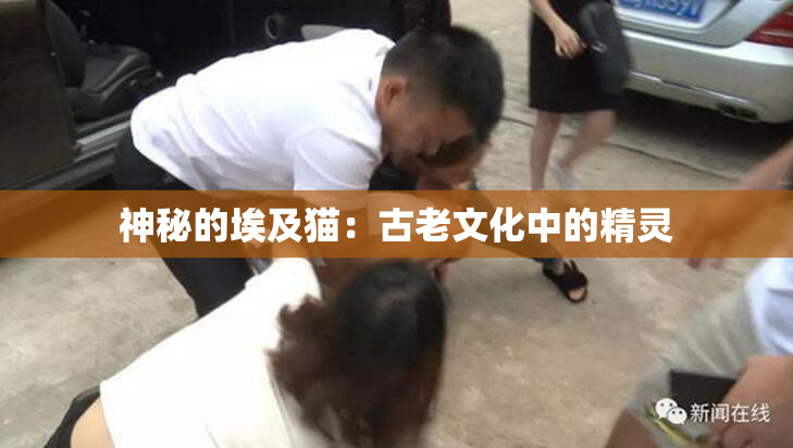 神秘的埃及猫：古老文化中的精灵