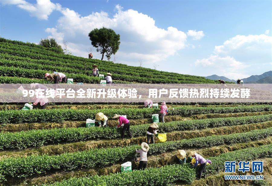 99在线平台全新升级体验，用户反馈热烈持续发酵