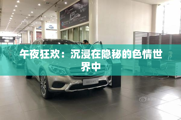 午夜狂欢：沉浸在隐秘的色情世界中