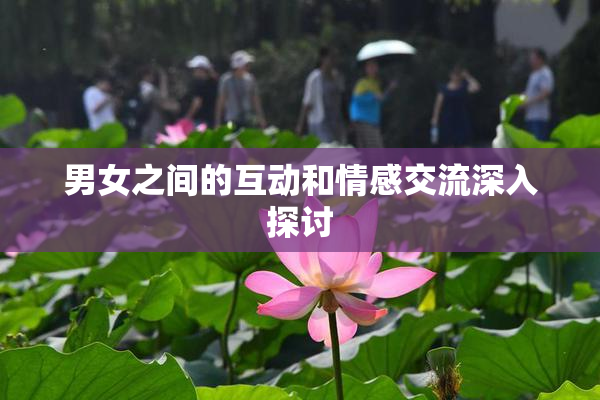 男女之间的互动和情感交流深入探讨