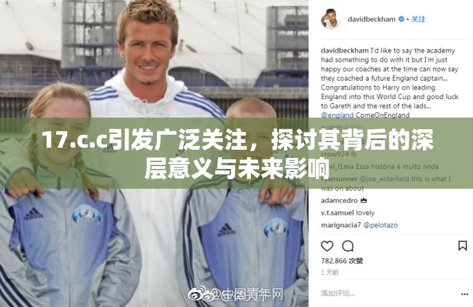 17.c.c引发广泛关注，探讨其背后的深层意义与未来影响