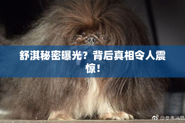 舒淇秘密曝光？背后真相令人震惊！