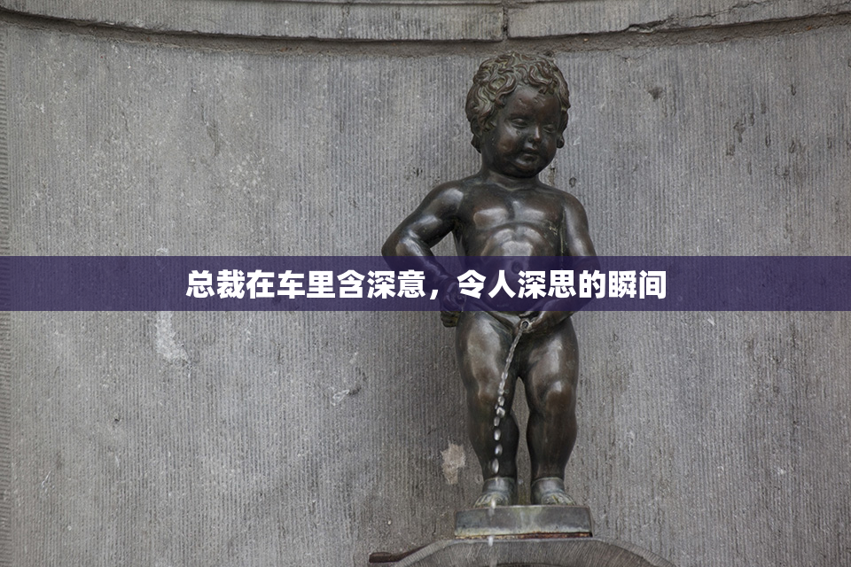 总裁在车里含深意，令人深思的瞬间