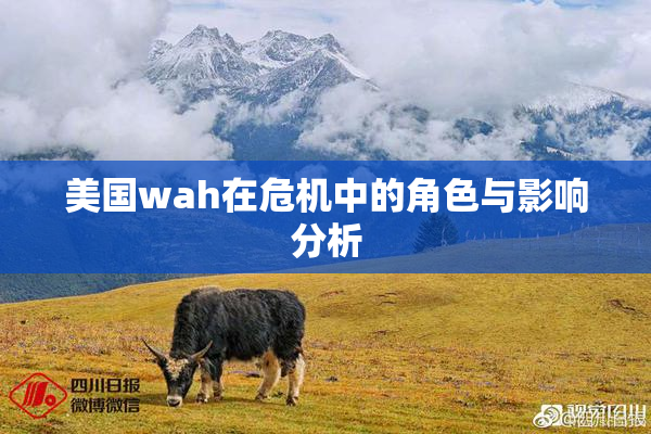 美国wah在危机中的角色与影响分析