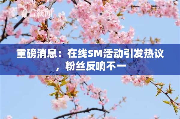 重磅消息：在线SM活动引发热议，粉丝反响不一