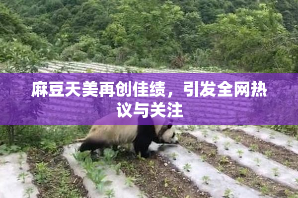 麻豆天美再创佳绩，引发全网热议与关注