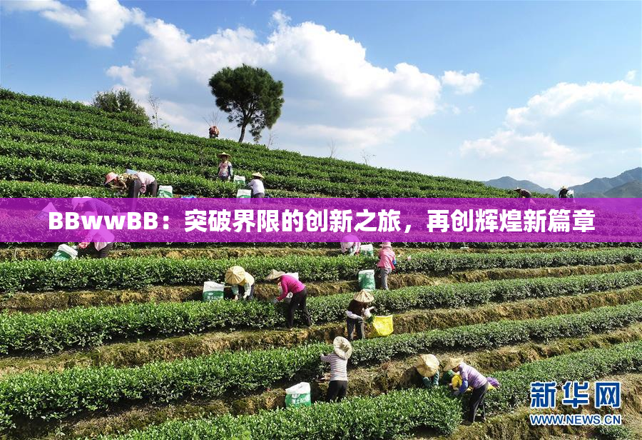 BBwwBB：突破界限的创新之旅，再创辉煌新篇章
