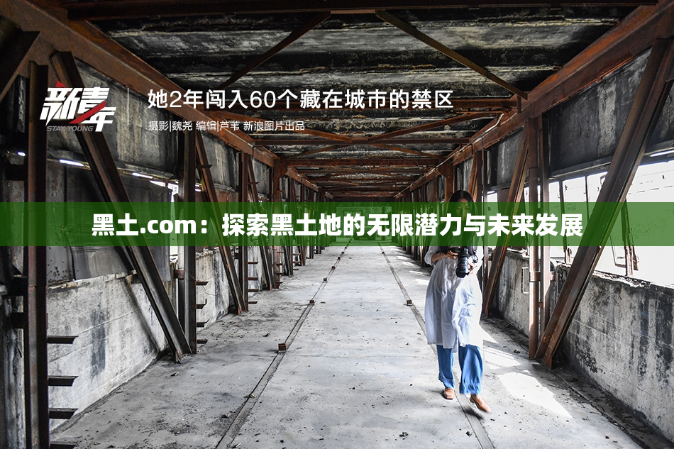 黑土.com：探索黑土地的无限潜力与未来发展