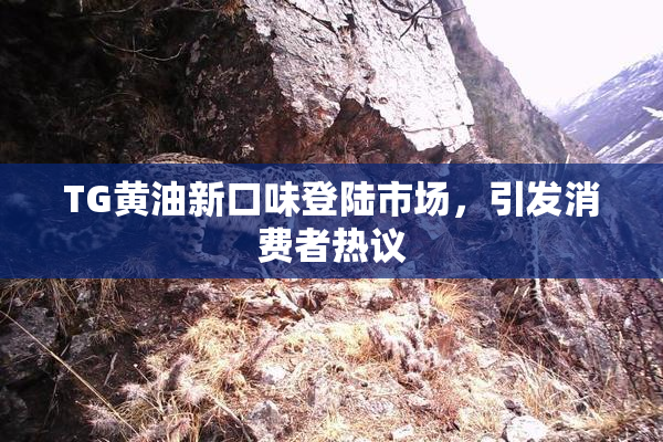TG黄油新口味登陆市场，引发消费者热议