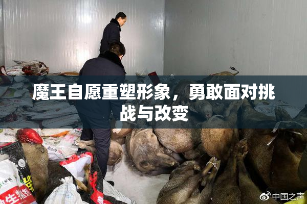 魔王自愿重塑形象，勇敢面对挑战与改变