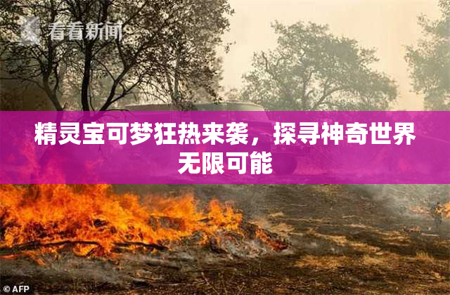 精灵宝可梦狂热来袭，探寻神奇世界无限可能