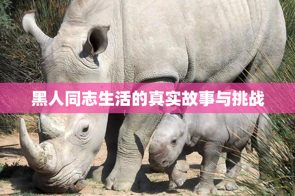 黑人同志生活的真实故事与挑战
