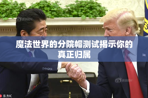 魔法世界的分院帽测试揭示你的真正归属