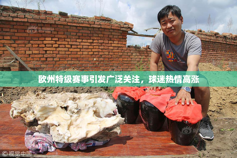 欧州特级赛事引发广泛关注，球迷热情高涨