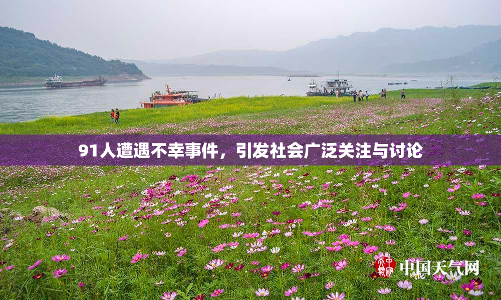 91人遭遇不幸事件，引发社会广泛关注与讨论