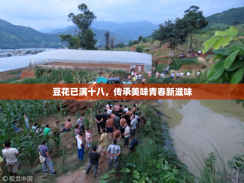 豆花已满十八，传承美味青春新滋味