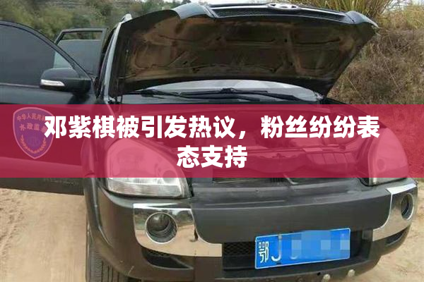 邓紫棋被引发热议，粉丝纷纷表态支持