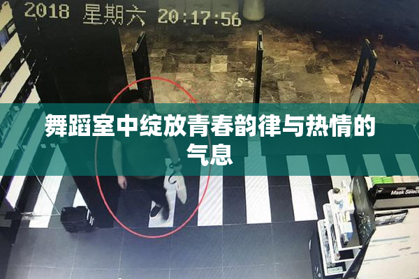 舞蹈室中绽放青春韵律与热情的气息