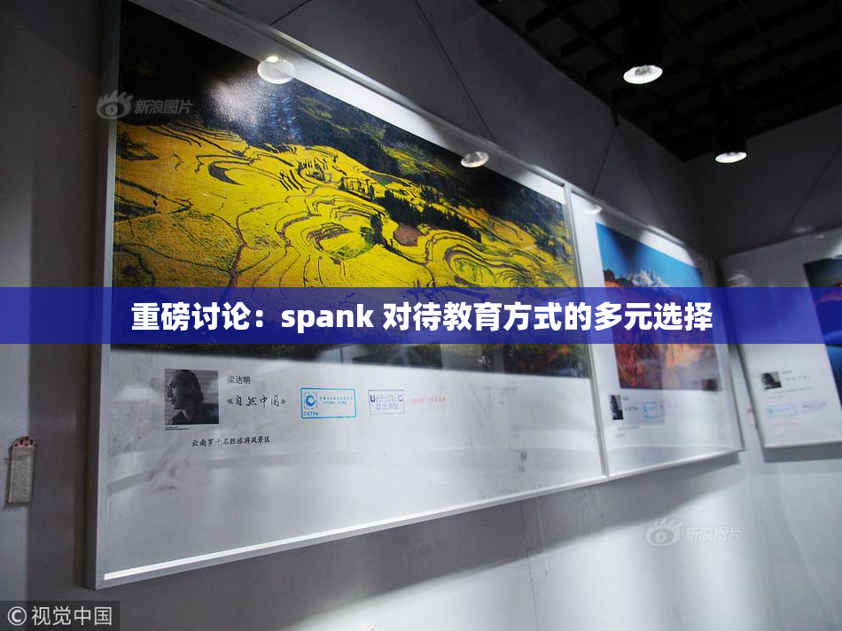重磅讨论：spank 对待教育方式的多元选择