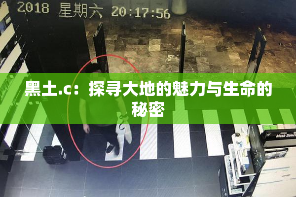 黑土.c：探寻大地的魅力与生命的秘密