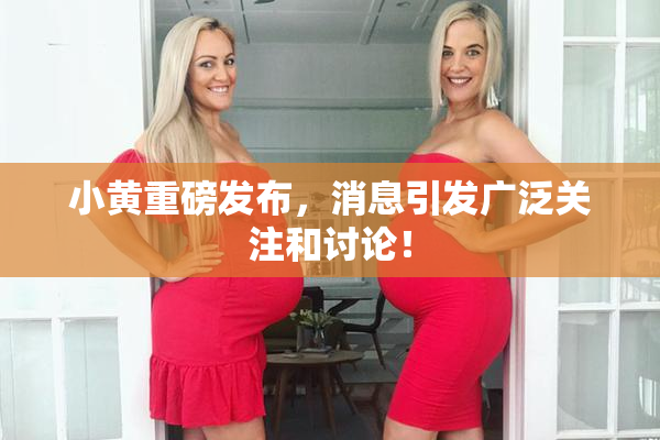 小黄重磅发布，消息引发广泛关注和讨论！