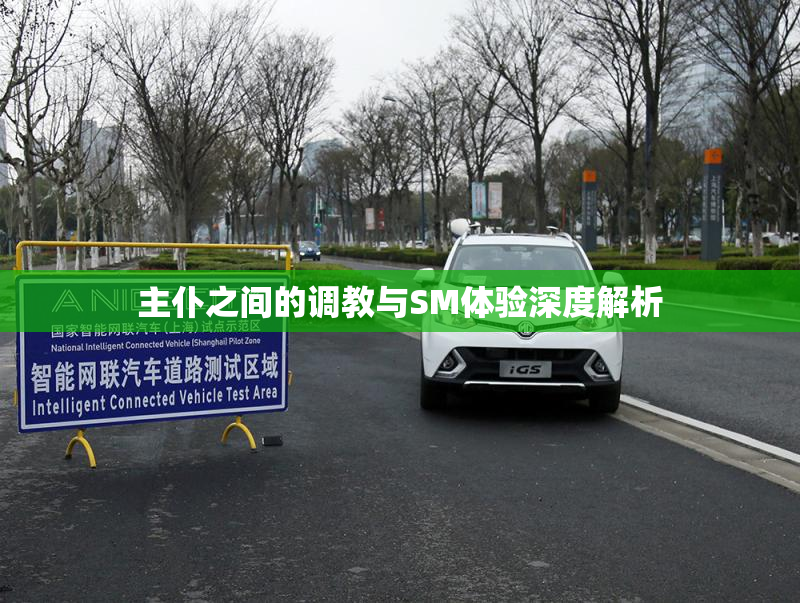 主仆之间的调教与SM体验深度解析
