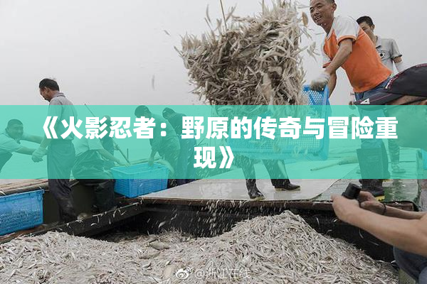 《火影忍者：野原的传奇与冒险重现》