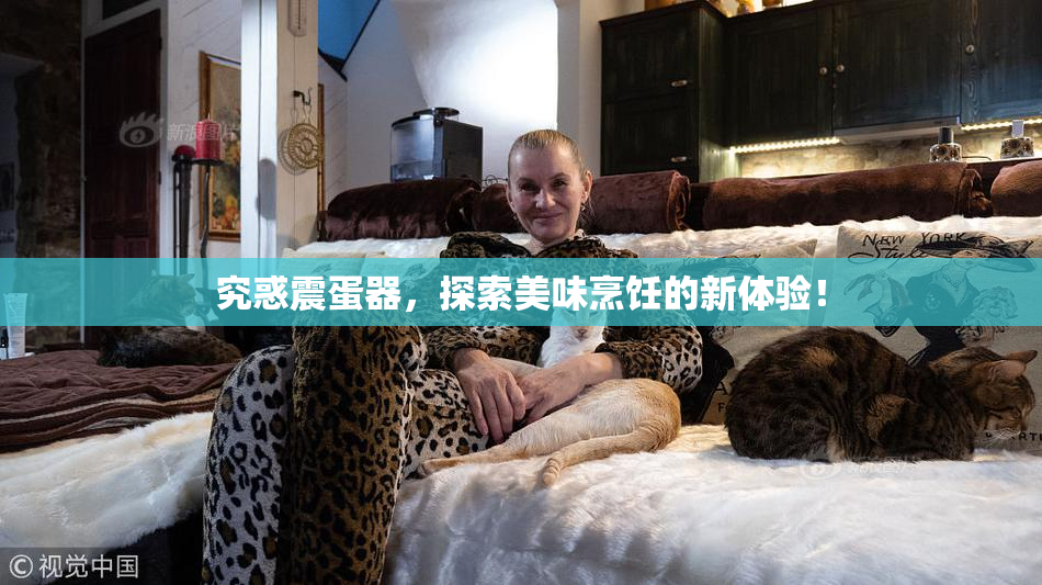 究惑震蛋器，探索美味烹饪的新体验！