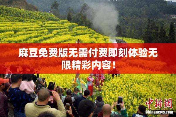 麻豆免费版无需付费即刻体验无限精彩内容！