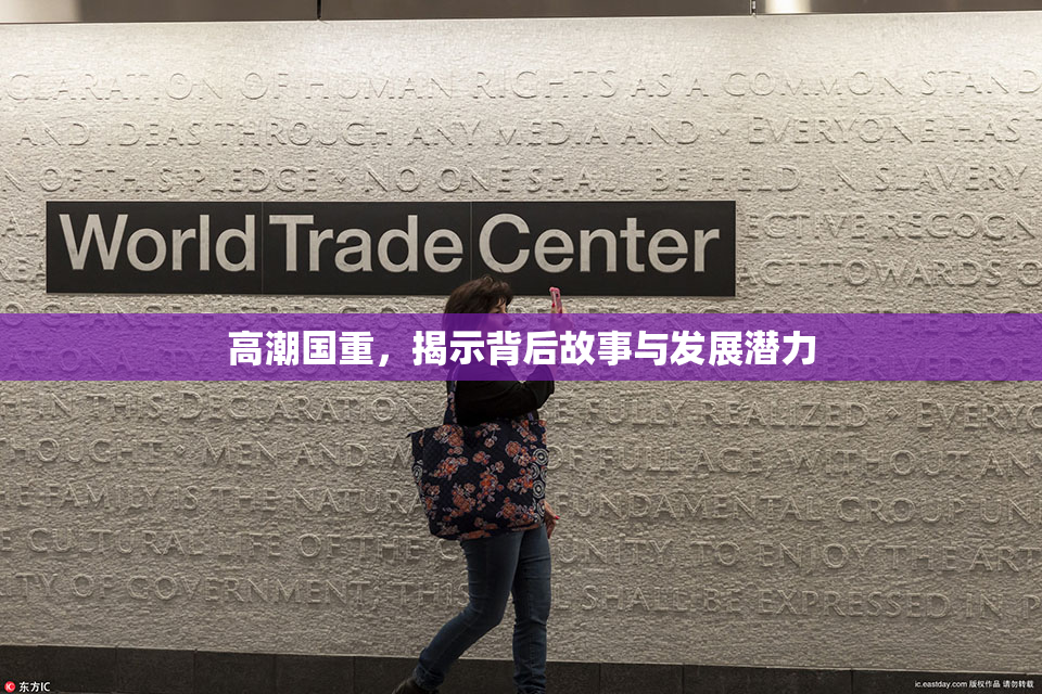 高潮国重，揭示背后故事与发展潜力