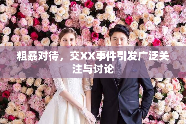 粗暴对待，交XX事件引发广泛关注与讨论