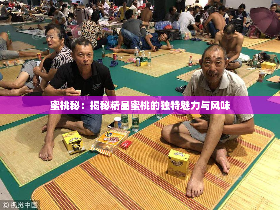 蜜桃秘：揭秘精品蜜桃的独特魅力与风味