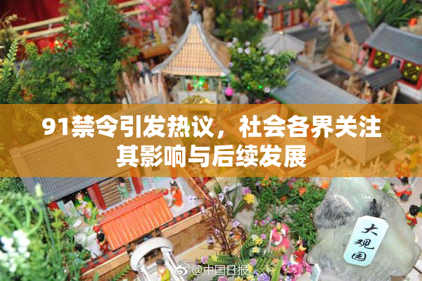 91禁令引发热议，社会各界关注其影响与后续发展