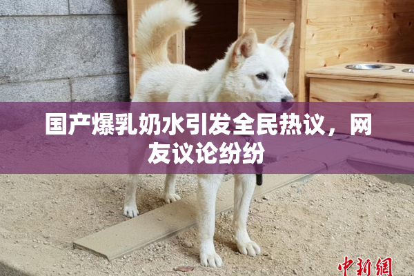国产爆乳奶水引发全民热议，网友议论纷纷