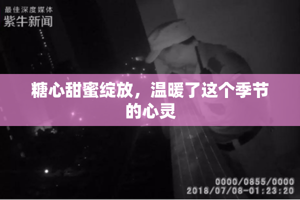 糖心甜蜜绽放，温暖了这个季节的心灵