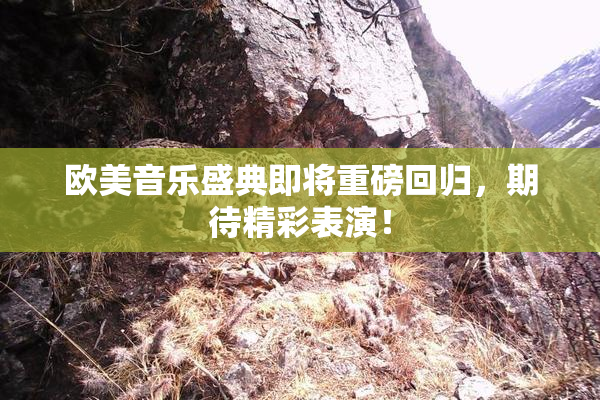 欧美音乐盛典即将重磅回归，期待精彩表演！