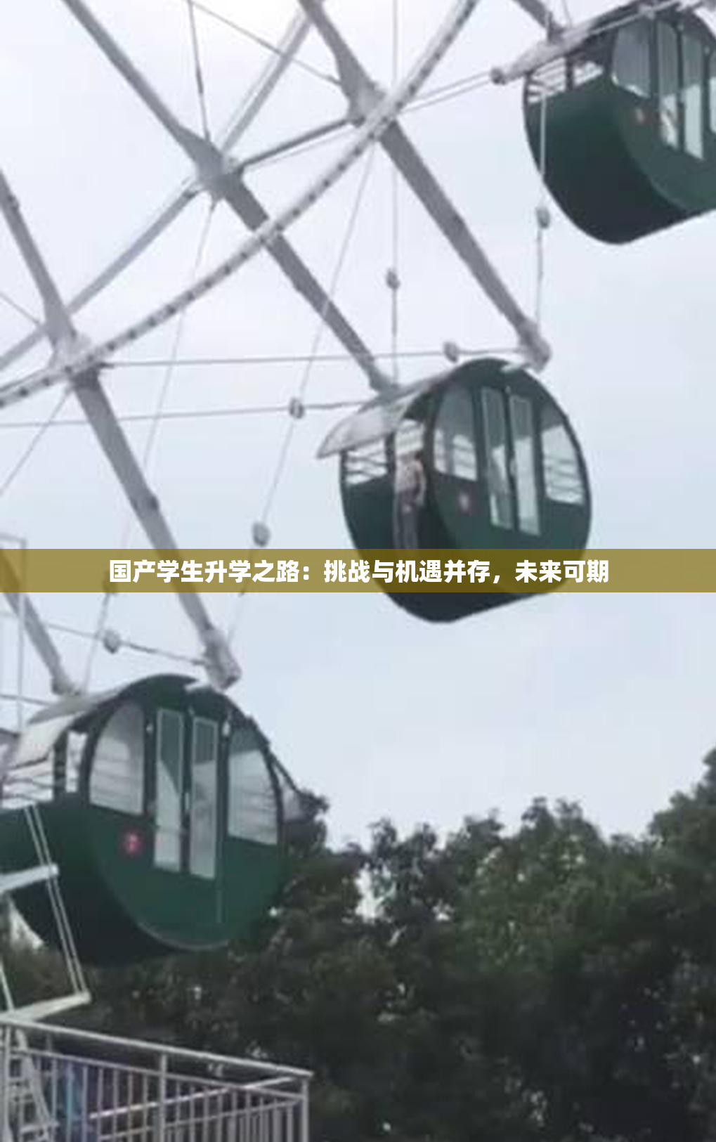 国产学生升学之路：挑战与机遇并存，未来可期