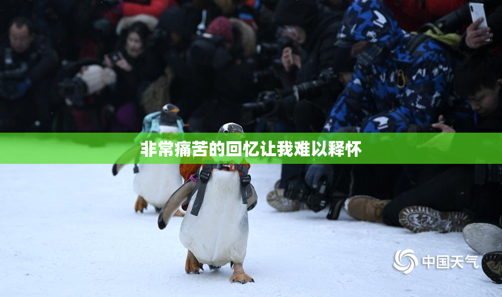非常痛苦的回忆让我难以释怀