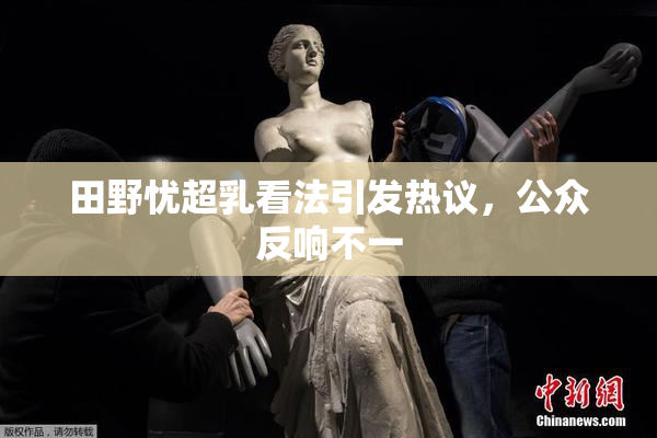 田野忧超乳看法引发热议，公众反响不一