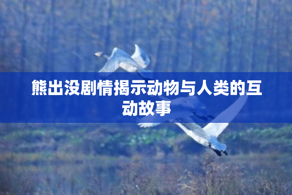熊出没剧情揭示动物与人类的互动故事