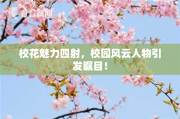 校花魅力四射，校园风云人物引发瞩目！