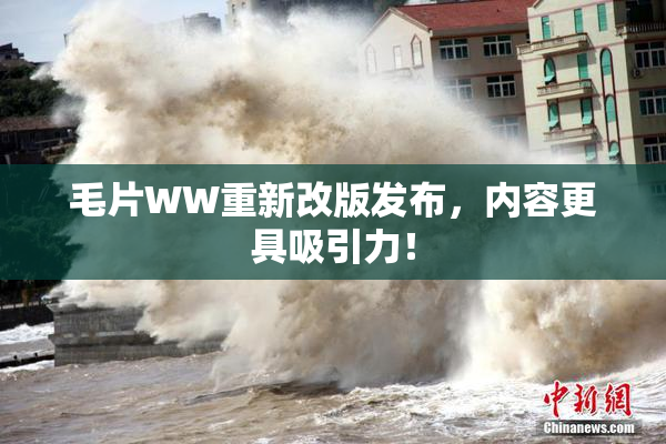 毛片WW重新改版发布，内容更具吸引力！